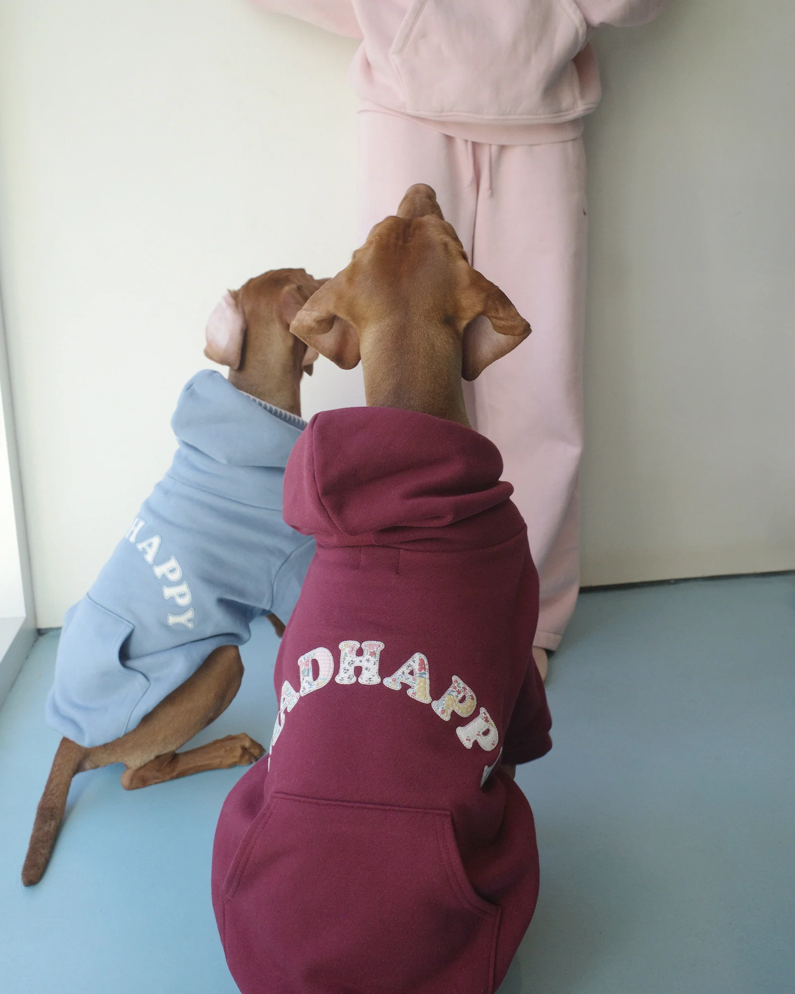 Little Beast Patchwork Fleece Dog Hoodie - Image 2
